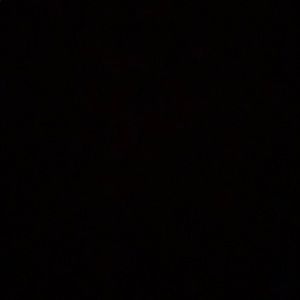 Meet your Posher, Salena